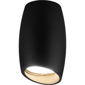 Накладной акцентный светильник ELEKTROSTANDARD DLN002 MR16 BK черный Накладной акцентный светильник ELEKTROSTANDARD DLN002 MR16 BK черный