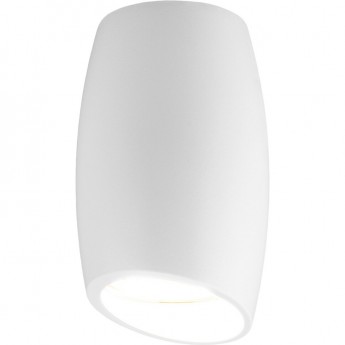 Накладной акцентный светильник ELEKTROSTANDARD DLN002 MR16 WH белый Накладной акцентный светильник ELEKTROSTANDARD DLN002 MR16 WH белый