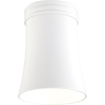 Накладной акцентный светильник ELEKTROSTANDARD DLN100 GU10 WH белый Накладной акцентный светильник ELEKTROSTANDARD DLN100 GU10 WH белый