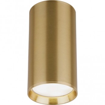 Накладной акцентный светильник ELEKTROSTANDARD DLN101 GU10 бронзовый Накладной акцентный светильник ELEKTROSTANDARD DLN101 GU10 бронзовый