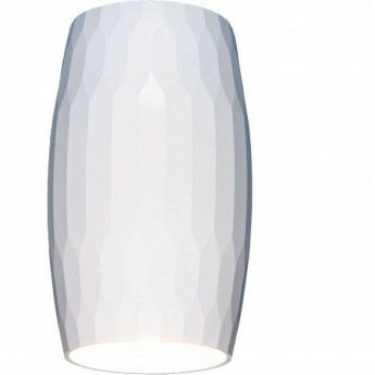 Накладной акцентный светильник ELEKTROSTANDARD DLN104 GU10 белый Накладной акцентный светильник ELEKTROSTANDARD DLN104 GU10 белый