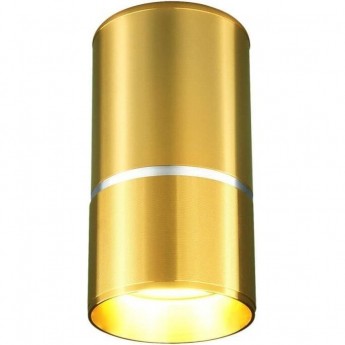 Накладной акцентный светильник ELEKTROSTANDARD DLN106 GU10 золотой Накладной акцентный светильник ELEKTROSTANDARD DLN106 GU10 золотой