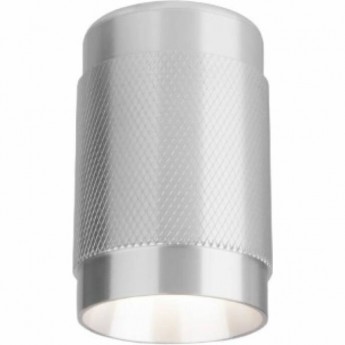 Накладной акцентный светильник ELEKTROSTANDARD DLN109 GU10 серебряный Накладной акцентный светильник ELEKTROSTANDARD DLN109 GU10 серебряный
