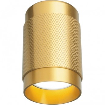 Накладной акцентный светильник ELEKTROSTANDARD DLN109 GU10 золотой Накладной акцентный светильник ELEKTROSTANDARD DLN109 GU10 золотой