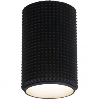 Накладной акцентный светильник ELEKTROSTANDARD DLN112 GU10 черный