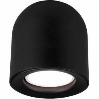 Накладной акцентный светильник ELEKTROSTANDARD DLN116 GU10 черный