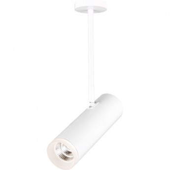 Накладной акцентный светильник ELEKTROSTANDARD DLS022 9W 4200K белый Накладной акцентный светильник ELEKTROSTANDARD DLS022 9W 4200K белый