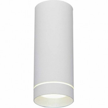 Накладной акцентный светодиодный светильник ELEKTROSTANDARD DLR022 12W 4200K белый матовый