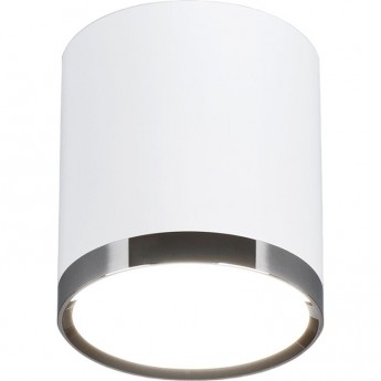 Накладной акцентный светодиодный светильник ELEKTROSTANDARD DLR024 6W 4200K белый