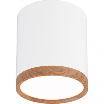 Накладной акцентный светодиодный светильник ELEKTROSTANDARD DLR024 6W 4200K белый матовый