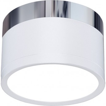 Накладной акцентный светодиодный светильник ELEKTROSTANDARD DLR029 10W 4200K белый