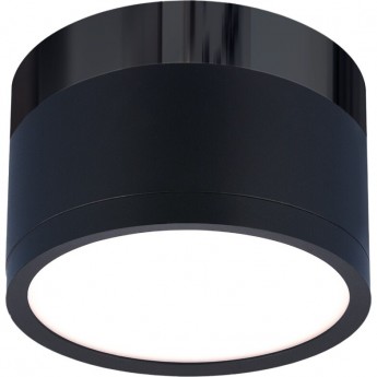 Накладной акцентный светодиодный светильник ELEKTROSTANDARD DLR029 10W 4200K черный