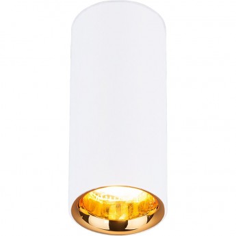 Накладной акцентный светодиодный светильник ELEKTROSTANDARD DLR030 12W 4200K белый