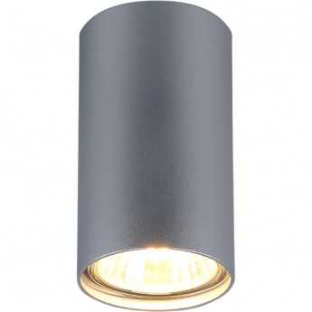 Накладной потолочный светильник ELEKTROSTANDARD 1081 GU10 серебряный Накладной потолочный светильник ELEKTROSTANDARD 1081 GU10 серебряный