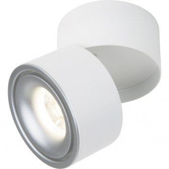 Накладной светодиодный светильник ELEKTROSTANDARD DLR031 15W 4200K 3100 белый/серебряный