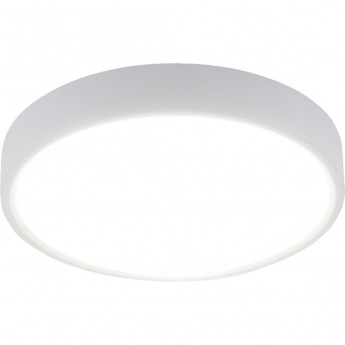 Накладной светодиодный светильник ELEKTROSTANDARD DLR034 18W 4200K