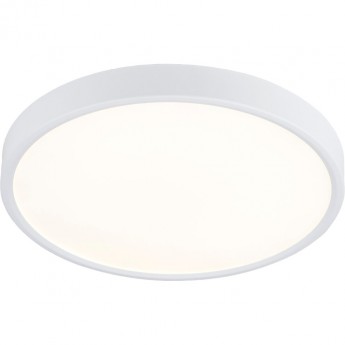 Накладной светодиодный светильник ELEKTROSTANDARD DLR034 24W 4200K