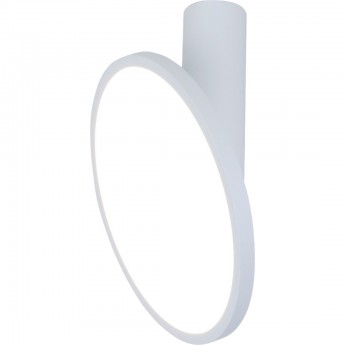 Накладной светодиодный светильник ELEKTROSTANDARD DLS029 12W 4200K белый Накладной светодиодный светильник ELEKTROSTANDARD DLS029 12W 4200K белый