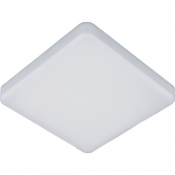 Накладной светодиодный светильник ELEKTROSTANDARD DLS043 10W 4200K Накладной светодиодный светильник ELEKTROSTANDARD DLS043 10W 4200K