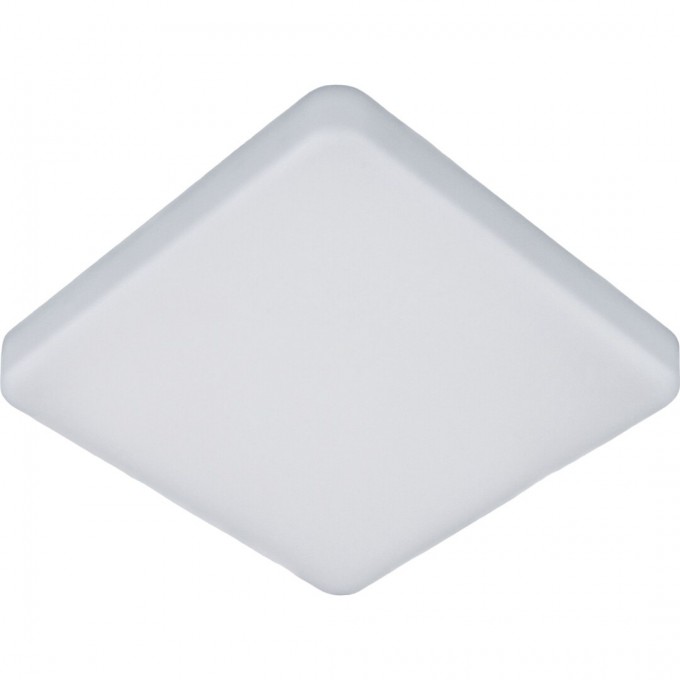 Накладной светодиодный светильник ELEKTROSTANDARD DLS043 10W 4200K a047941