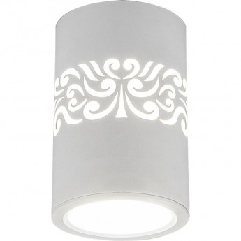 Накладной светодиодный светильник с подсветкой ELEKTROSTANDARD DLS025 7W 4200K белый Накладной светодиодный светильник с подсветкой ELEKTROSTANDARD DLS025 7W 4200K белый