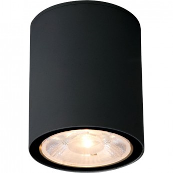 Накладной светодиодный влагозащищенный светильник ELEKTROSTANDARD LIGHT LED 2103 IP65 35131/H черный