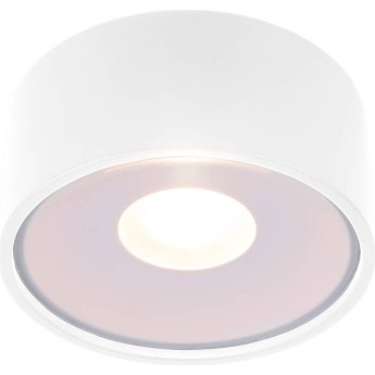 Накладной светодиодный влагозащищенный светильник ELEKTROSTANDARD LIGHT LED 2135 IP65 35141/H белый