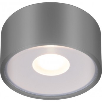 Накладной светодиодный влагозащищенный светильник ELEKTROSTANDARD LIGHT LED 2135 IP65 35141/H серый