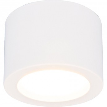 Накладной точечный светодиодный светильник ELEKTROSTANDARD DLR026 6W 4200K белый