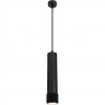 Подвесной светильник ELEKTROSTANDARD DLN113 GU10 черный a048149