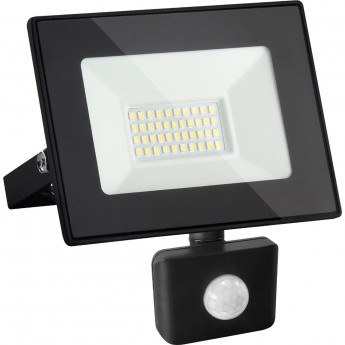 Прожектор ELEKTROSTANDARD ELEMENTARY 030 FL LED 50W 6500K IP44 6500 К