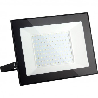 Прожектор ELEKTROSTANDARD ELEMENTARY 033 FL LED 150W 4200K IP65