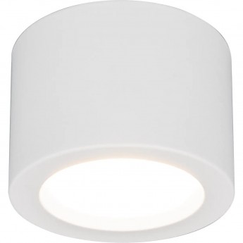 Светильник потолочный светодиодный ELEKTROSTANDARD DLR026 6W 3000K белый матовый Светильник потолочный светодиодный ELEKTROSTANDARD DLR026 6W 3000K белый матовый
